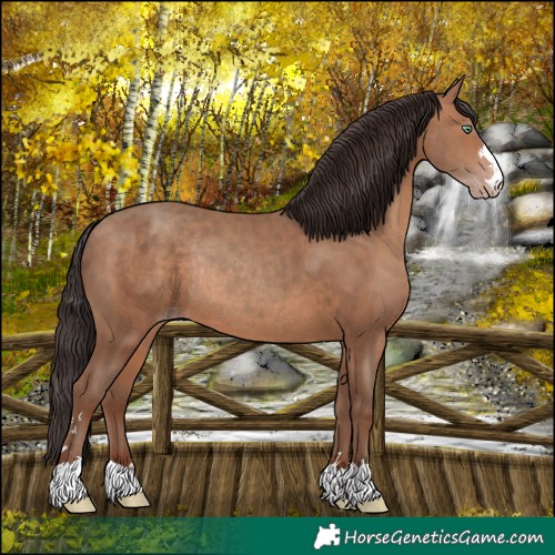 Horse Color:Sable Champagne Rabicano 