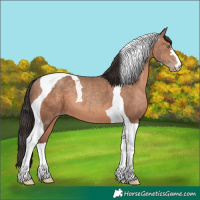Horse Color:Sable Champagne Tobiano 