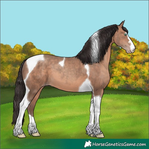 Horse Color:Sable Champagne Tobiano 