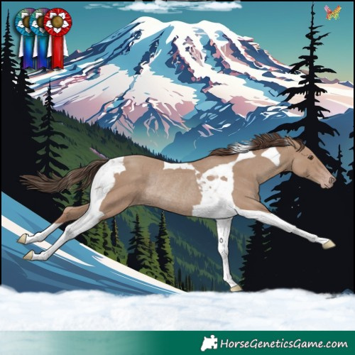 Horse Color:Classic Champagne Tobiano Rabicano 