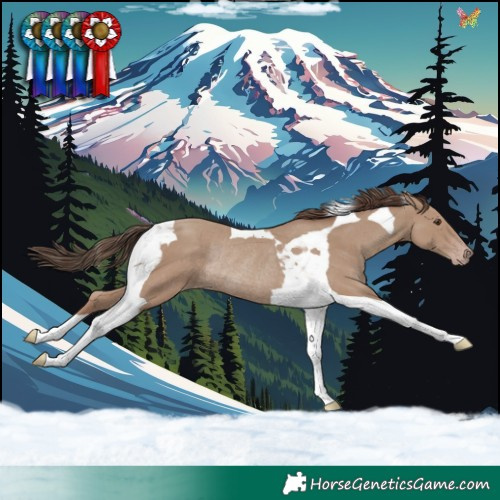 Horse Color:Classic Champagne Tobiano Rabicano 