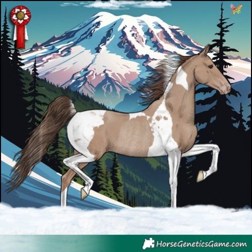 Horse Color:Classic Champagne Tobiano Rabicano 