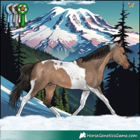 Horse Color:Brown Dun Tobiano