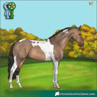 Horse Color:Brown Dun Tobiano 