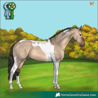 Horse Color:Brown Dun Tobiano