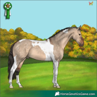 Horse Color:Brown Dun Tobiano