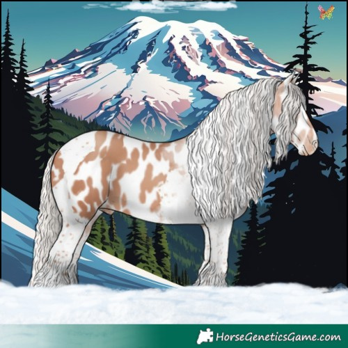 Horse Color:Silver Sable Champagne Tobiano Appaloosa 
