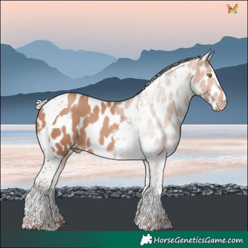 Horse Color:Silver Sable Champagne Tobiano Leopard 