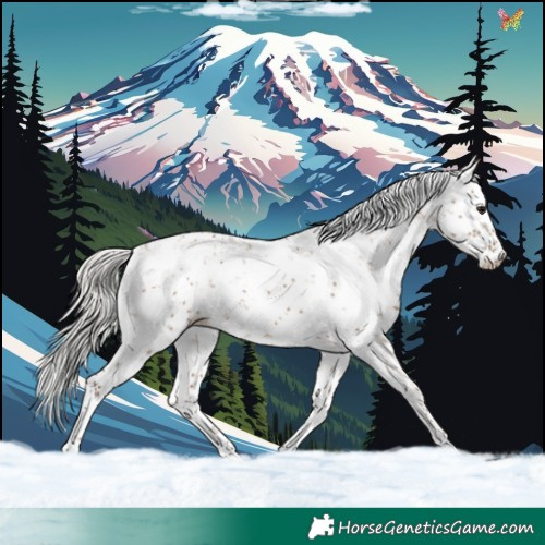 Horse Color:Silver Grullo Sabino 