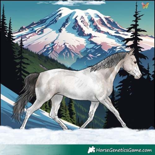 Horse Color:Brown Dun Sabino Tobiano Rabicano 