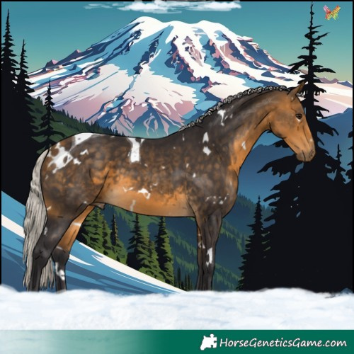 Horse Color:White Spotted Silver Buckskin Tobiano 