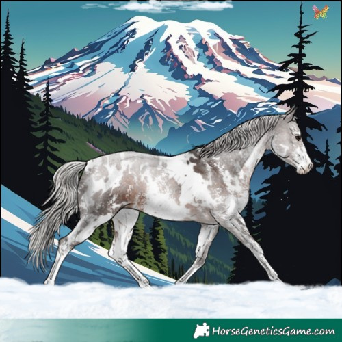 Horse Color:White Spotted Silver Brown Sabino 