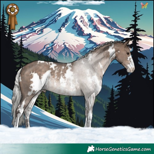 Horse Color:White Spotted Silver Brown Dun Sabino Rabicano 