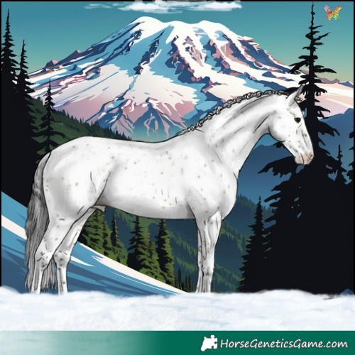 Horse Color:Brown Dun Sabino Rabicano 