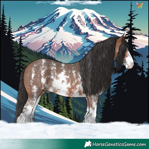 Horse Color:Bay Sabino 