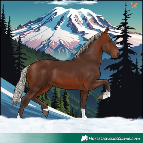 Horse Color:Silver Brown Tobiano 
