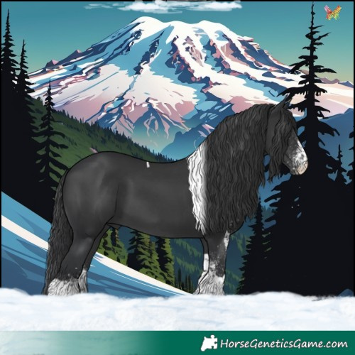 Horse Color:White Spotted Black Tobiano 