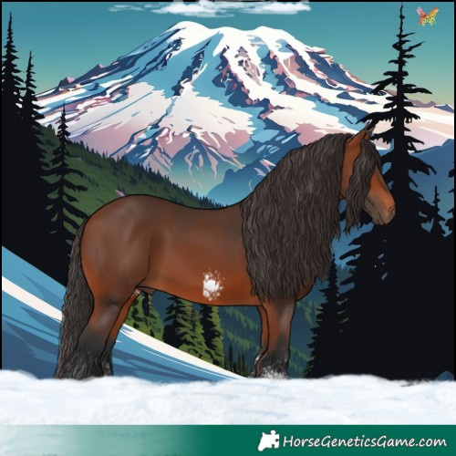Horse Color:Bay Sabino 