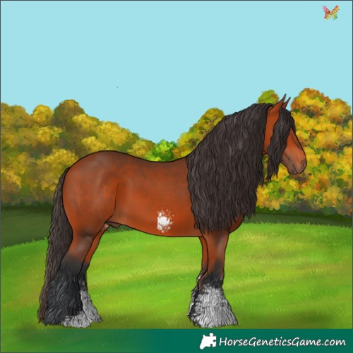 Horse Color:Bay Sabino 