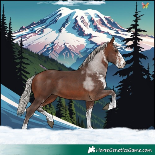 Horse Color:White Spotted Silver Brown Tobiano 