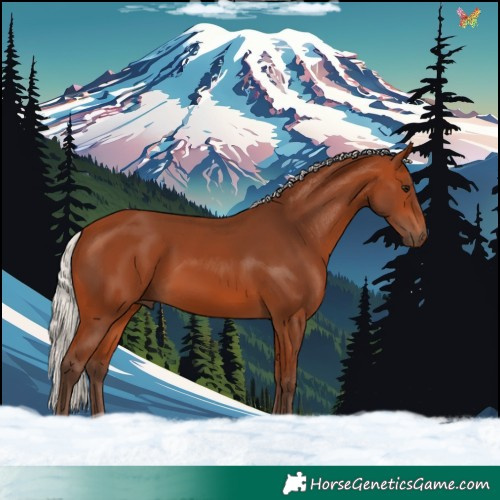 Horse Color:Silver Bay Tobiano 