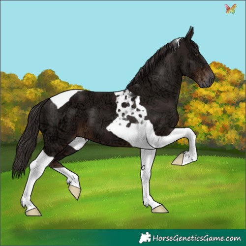 Horse Color:Liver Chestnut Ice Tobiano 