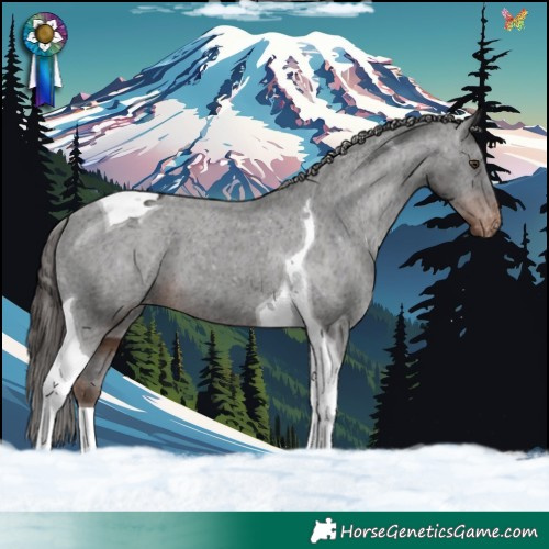 Horse Color:Liver Chestnut Tobiano Varnish 