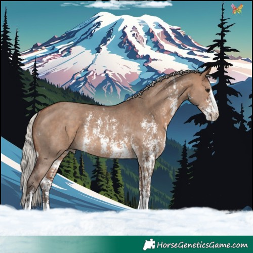 Horse Color:Silver Brown Dun Sabino Rabicano 