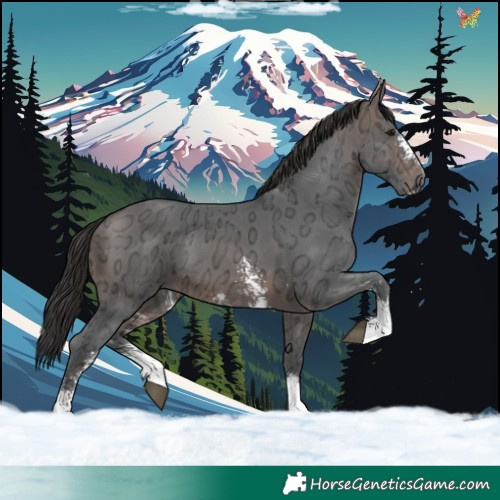 Horse Color:Brown Ice Sabino Tobiano 