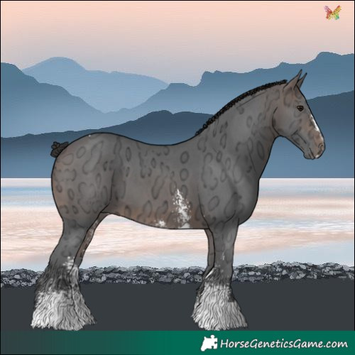 Horse Color:Brown Ice Sabino Tobiano 