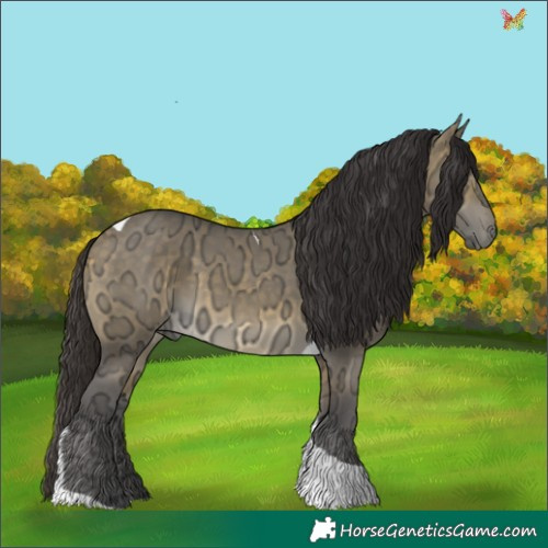 Horse Color:Buckskin Ice Dun Tobiano 