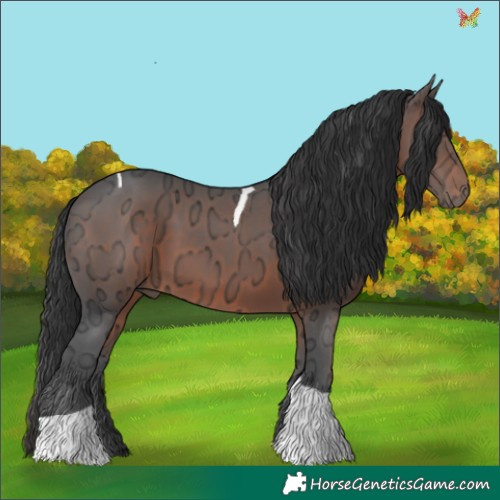 Horse Color:Brown Ice Tobiano 