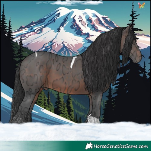 Horse Color:Brown Ice Tobiano 