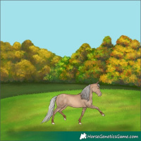 Horse Color:Silver Amber Champagne 