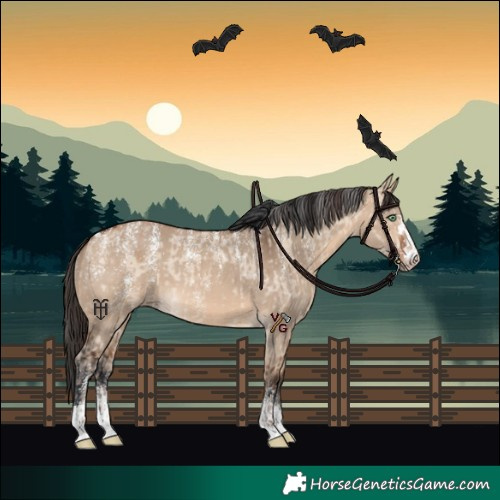 Horse Color:Powder White Amber Champagne Dun  and Powder White Bay Dun 