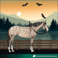 Horse Color:Powder White Amber Champagne Dun  and Powder White Bay Dun 