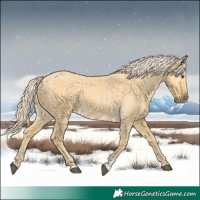 Horse Color:Palomino Dun  and Palomino Dun 