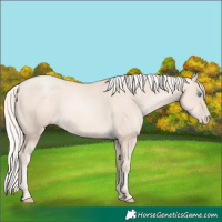 Horse Color:Gold Cream Champagne Pearl 