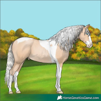 Horse Color:Silver Buckskin Pearl Splash Tobiano 