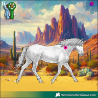 Horse Color:Gray Chocolate Amber Champagne Tobiano Appaloosa  and Gray Platinum Amber Champagne Tobiano Appaloosa 