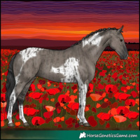Horse Color:Grullo Tobiano and Grullo Tobiano