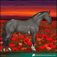 Horse Color:Grullo Tobiano  and Grullo Tobiano Rabicano 