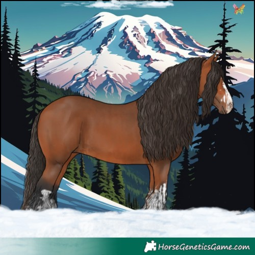 Horse Color:Bay  and Bay 
