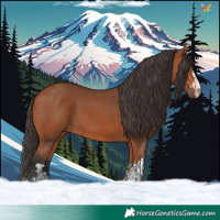 Horse Color:Bay and Bay