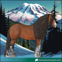 Horse Color:Bay  and Bay 