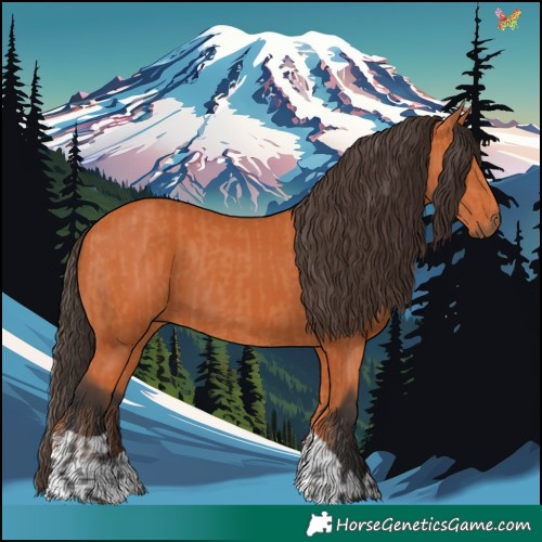 Horse Color:Bay and Bay