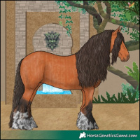 Horse Color:Bay  and Bay 