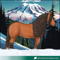 Horse Color:Bay  and Bay 