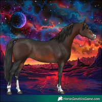 Horse Color:Brown Rabicano 