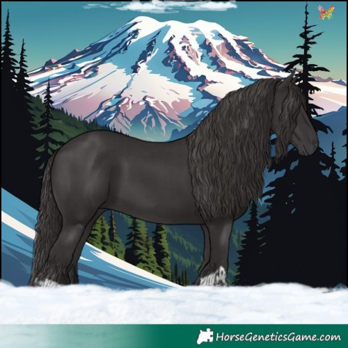 Horse Color:Smoky Black  and Smoky Black 